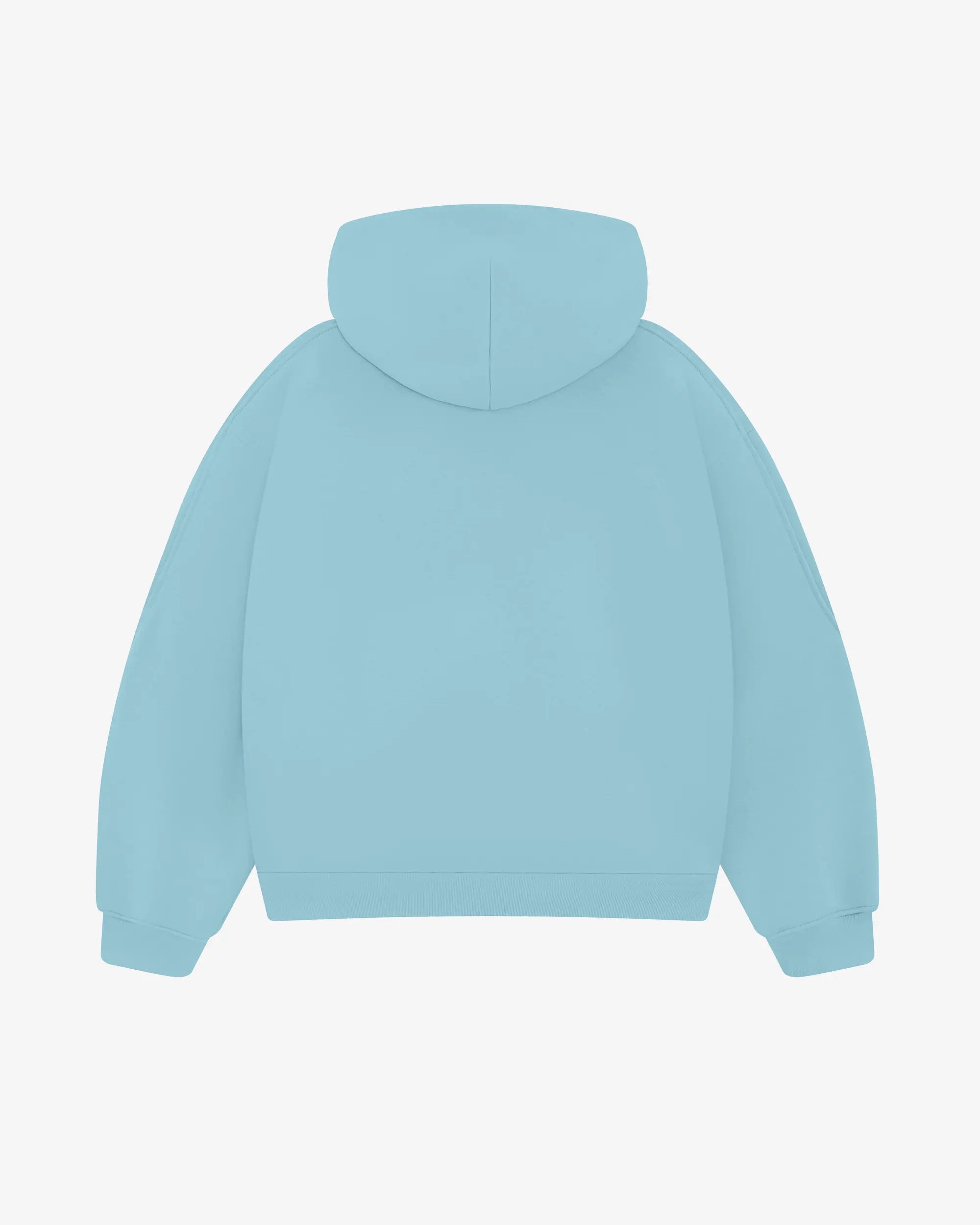 Baby Blue Zip Hoodie - 5mc2™
