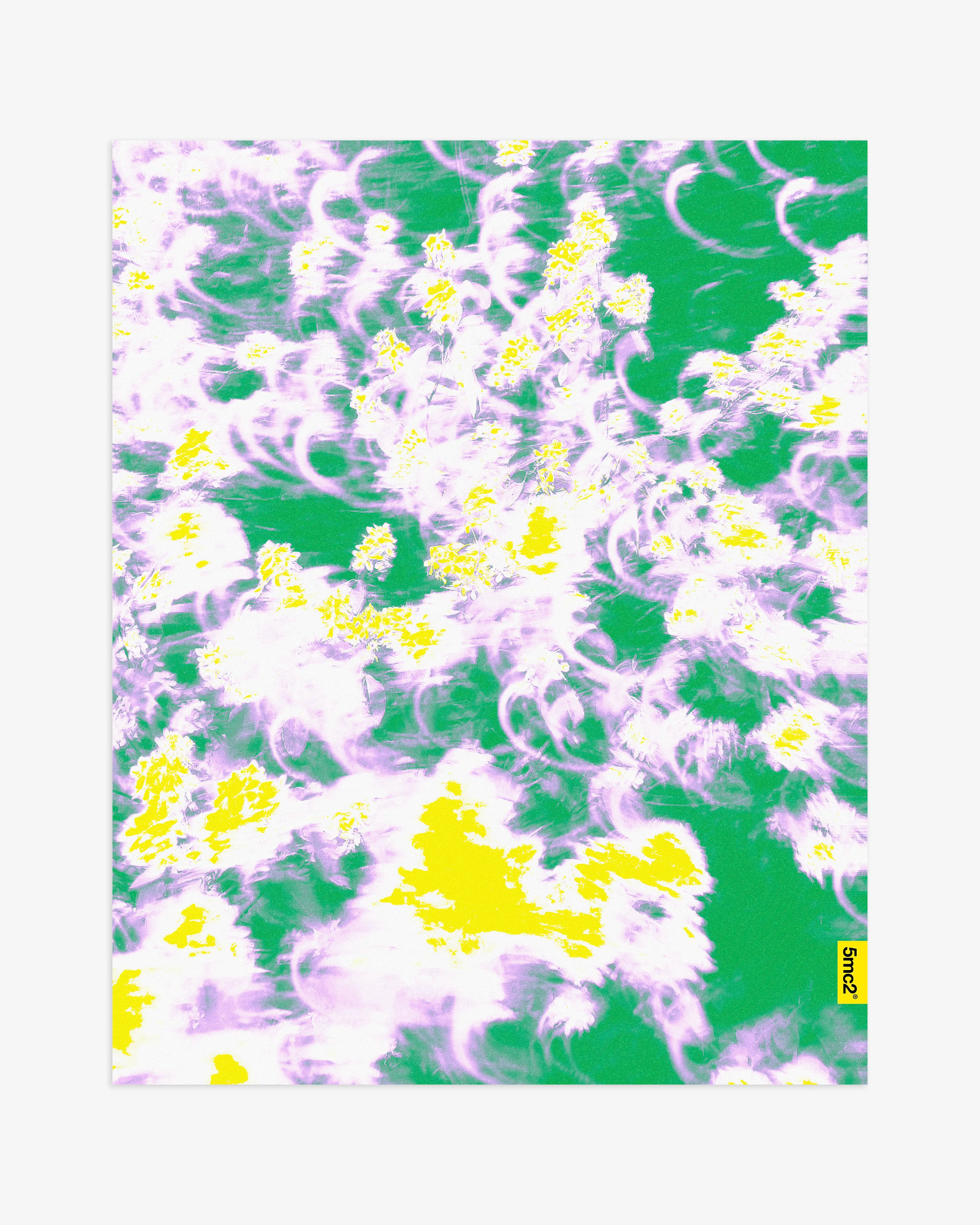 Flower Garden Poster